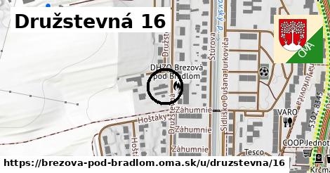 Družstevná 16, Brezová pod Bradlom