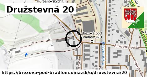 Družstevná 20, Brezová pod Bradlom