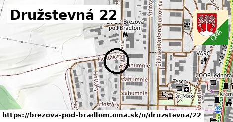 Družstevná 22, Brezová pod Bradlom