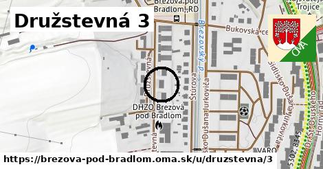 Družstevná 3, Brezová pod Bradlom