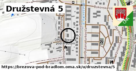 Družstevná 5, Brezová pod Bradlom