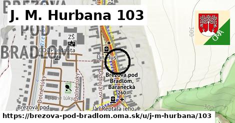 J. M. Hurbana 103, Brezová pod Bradlom