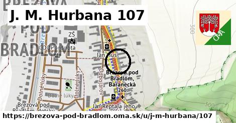 J. M. Hurbana 107, Brezová pod Bradlom