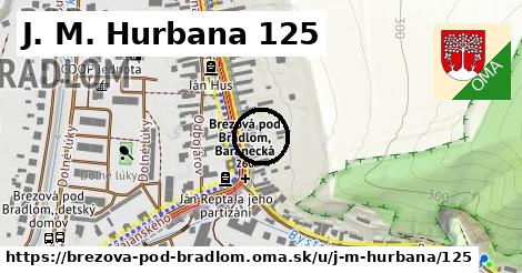 J. M. Hurbana 125, Brezová pod Bradlom