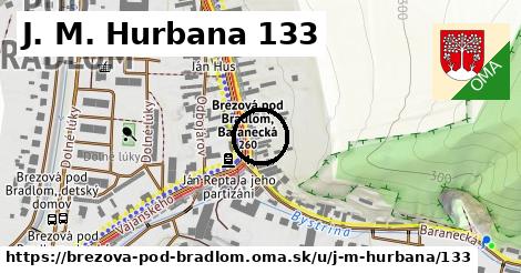 J. M. Hurbana 133, Brezová pod Bradlom