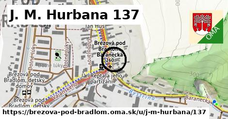 J. M. Hurbana 137, Brezová pod Bradlom