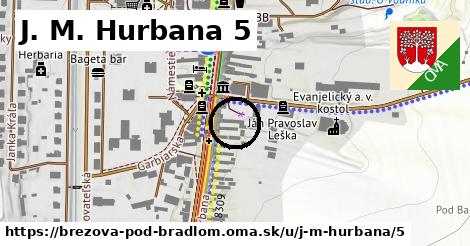 J. M. Hurbana 5, Brezová pod Bradlom