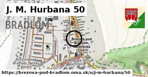 J. M. Hurbana 50, Brezová pod Bradlom