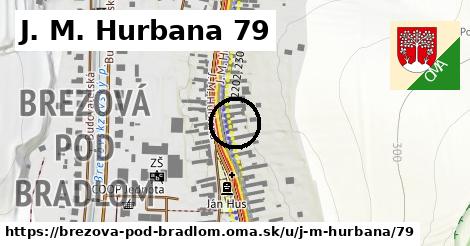 J. M. Hurbana 79, Brezová pod Bradlom