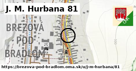 J. M. Hurbana 81, Brezová pod Bradlom