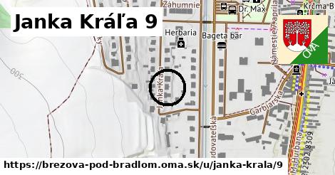 Janka Kráľa 9, Brezová pod Bradlom