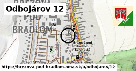 Odbojárov 12, Brezová pod Bradlom