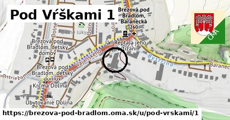 Pod Vŕškami 1, Brezová pod Bradlom