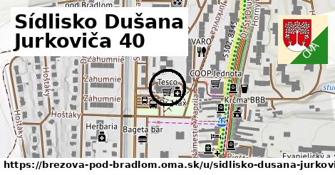 Sídlisko Dušana Jurkoviča 40, Brezová pod Bradlom