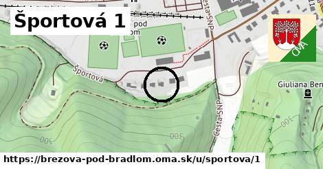 Športová 1, Brezová pod Bradlom