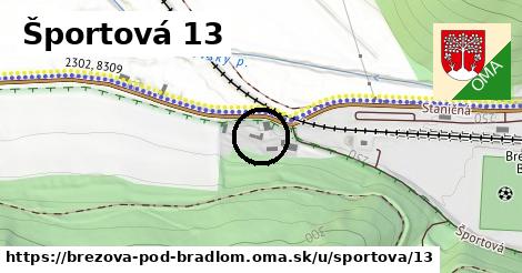 Športová 13, Brezová pod Bradlom