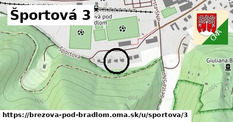 Športová 3, Brezová pod Bradlom