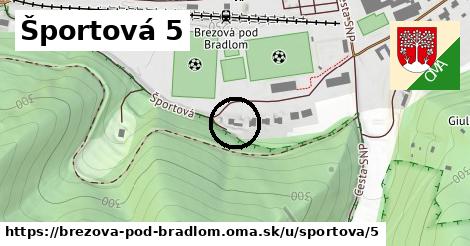 Športová 5, Brezová pod Bradlom