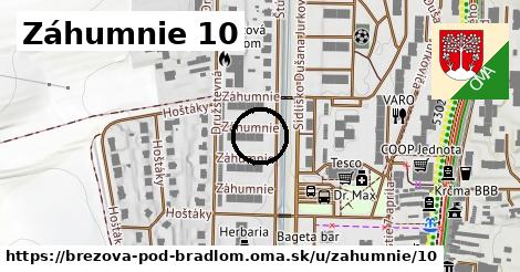 Záhumnie 10, Brezová pod Bradlom