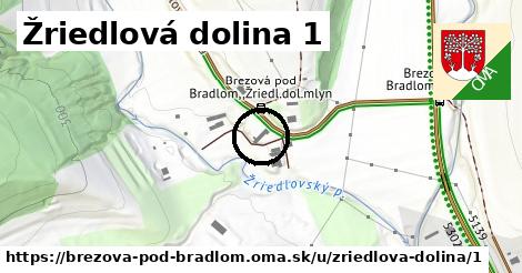 Žriedlová dolina 1, Brezová pod Bradlom