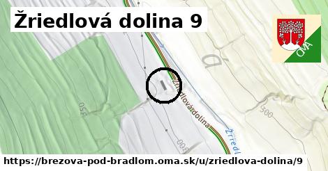 Žriedlová dolina 9, Brezová pod Bradlom