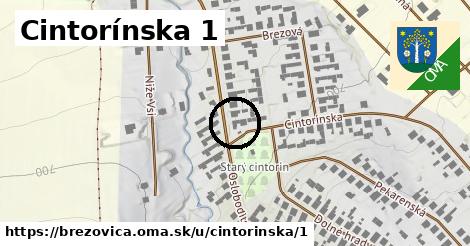 Cintorínska 1, Brezovica