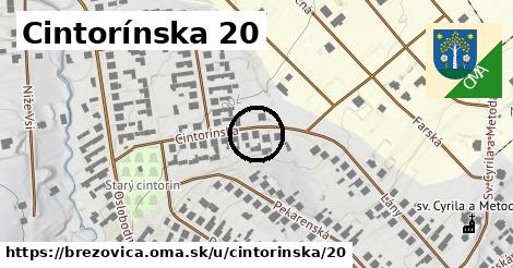 Cintorínska 20, Brezovica