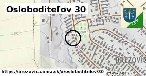 Osloboditeľov 30, Brezovica