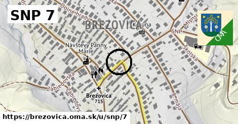 SNP 7, Brezovica