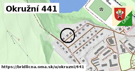 Okružní 441, Břidličná