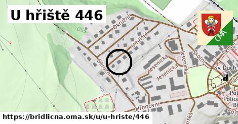 U hřiště 446, Břidličná