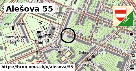 Alešova 55, Brno