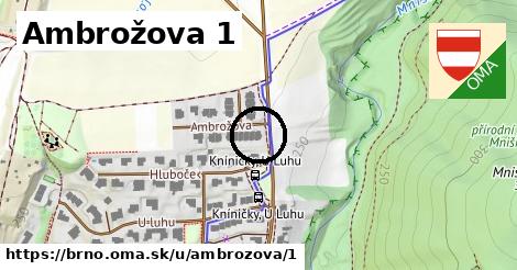 Ambrožova 1, Brno