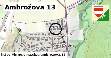 Ambrožova 13, Brno