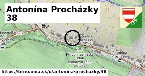 Antonína Procházky 38, Brno