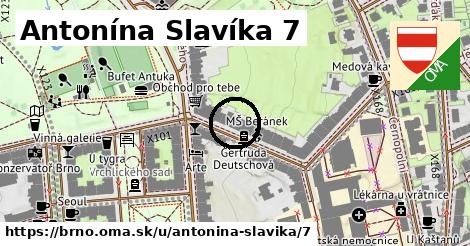 Antonína Slavíka 7, Brno