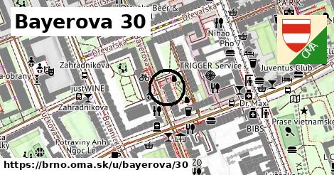 Bayerova 30, Brno