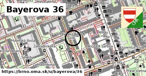 Bayerova 36, Brno