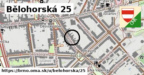 Bělohorská 25, Brno