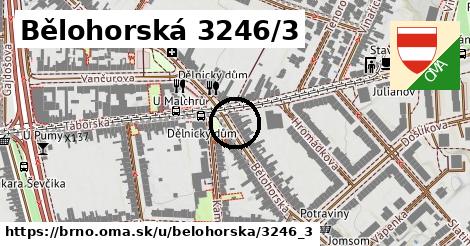 Bělohorská 3246/3, Brno