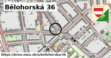 Bělohorská 36, Brno