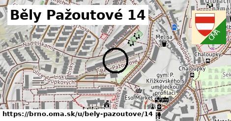 Běly Pažoutové 14, Brno