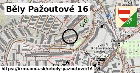 Běly Pažoutové 16, Brno