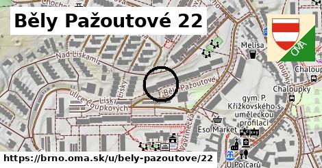 Běly Pažoutové 22, Brno