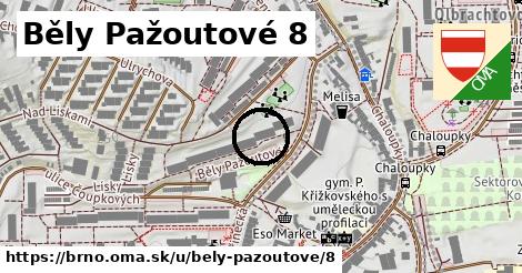 Běly Pažoutové 8, Brno