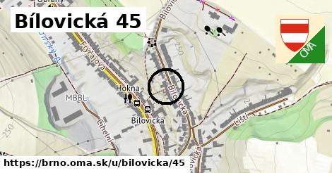 Bílovická 45, Brno