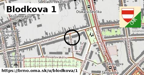 Blodkova 1, Brno