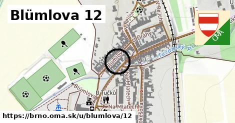 Blümlova 12, Brno