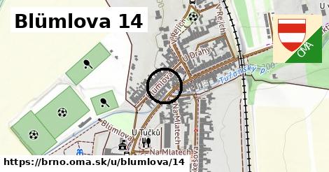 Blümlova 14, Brno