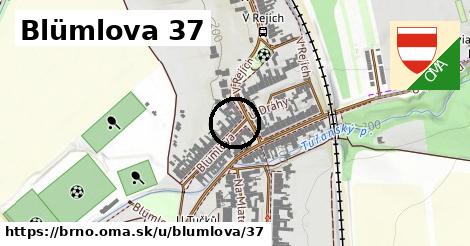 Blümlova 37, Brno